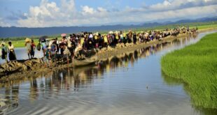 photo 2025 04 19 13 00 59