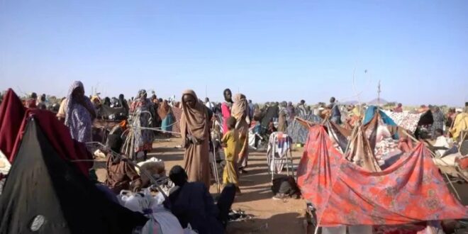 image 2025 11 01 12 36 21