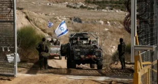 1bf38c70 b7be 11ef a0cf 7bf220dc1294.jpg