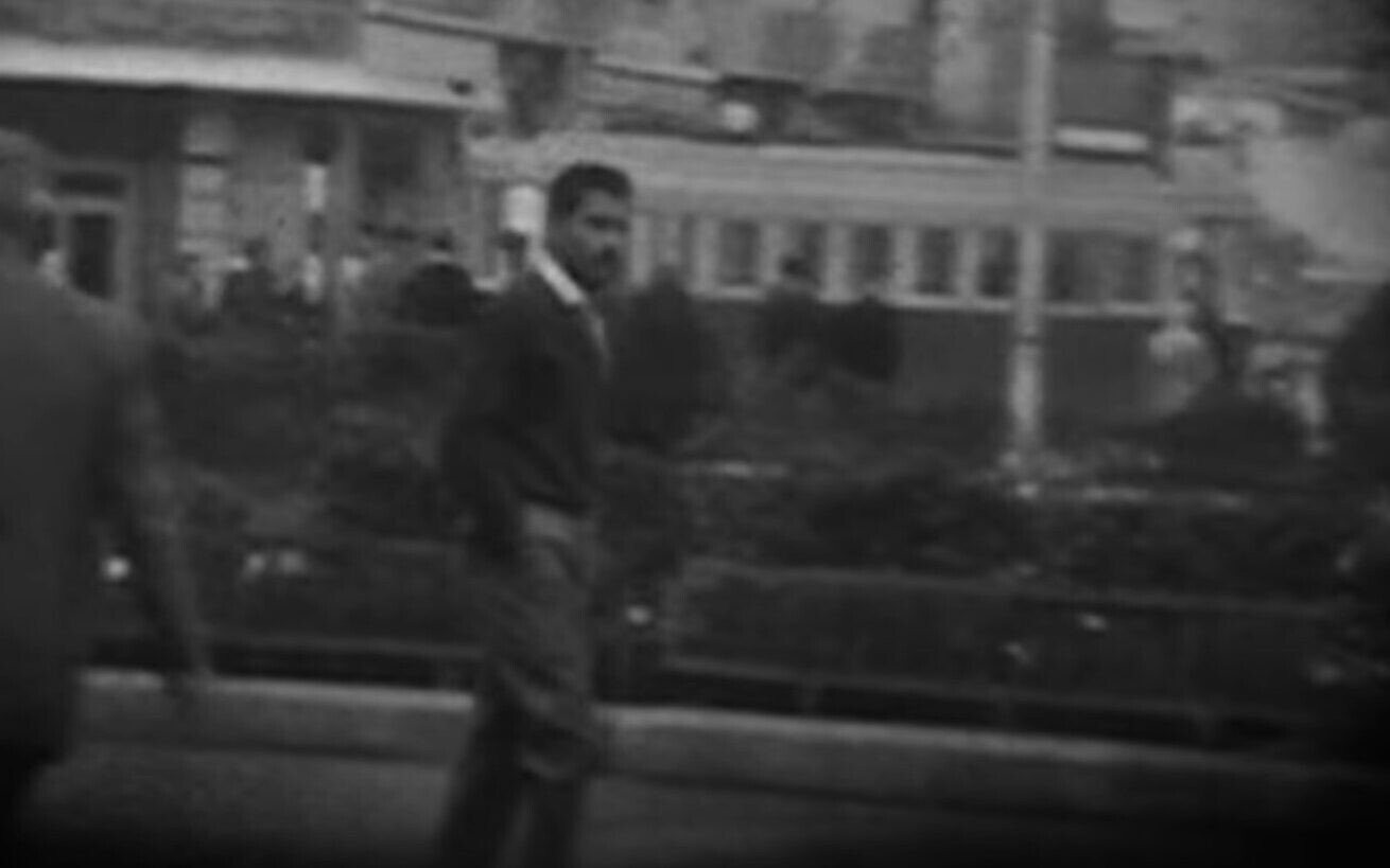 Ei Cohen e1613932157271