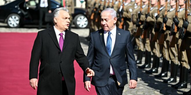 image 2025 04 03 15 19 08