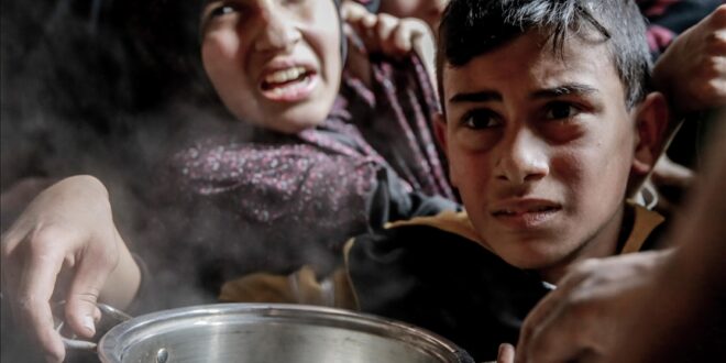 thumbs b c 3da928e2f2363a8f891d301961e49ee4