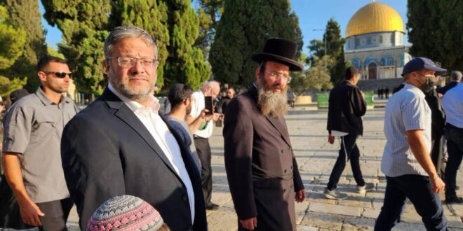 image 2025 08 03 19 55 10