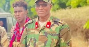 image 2025 05 18 16 43 27