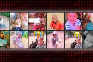 image 2025 12 07 12 41 08