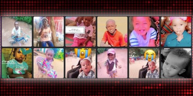 image 2025 12 07 12 41 08