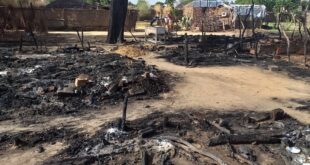 image 2025 04 29 20 44 53