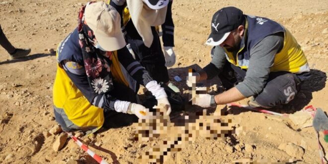 image 2025 11 02 17 31 20