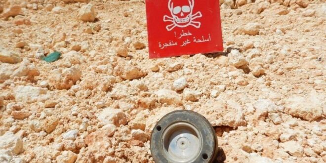 image 2025 11 18 18 54 58