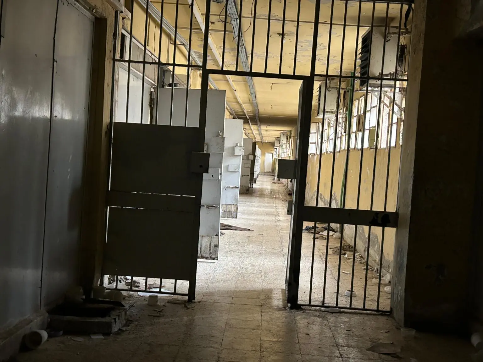 WhatsApp Image 2024 12 23 at 14.31.42 1 1.jpeg WhatsApp Image 2024 12 23 at 14.31.42 1 1.jpeg