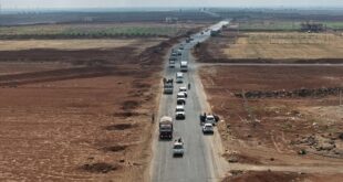 thumbs b c ce0fa9fa14a1e56def0877a0154dc80f