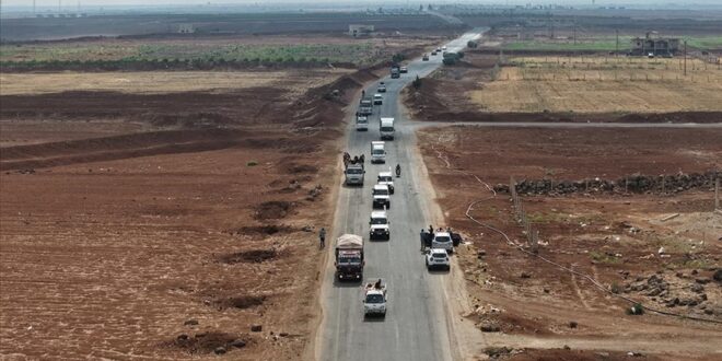 thumbs b c ce0fa9fa14a1e56def0877a0154dc80f