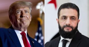 image 2025 04 02 14 50 54