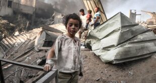 thumbs b c bf5c00c0ee3a1ad59fc0a94dd6d62275