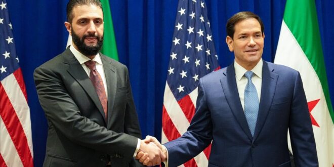 thumbs b c 04403c0a4b43ee1176988baa5b83b11c