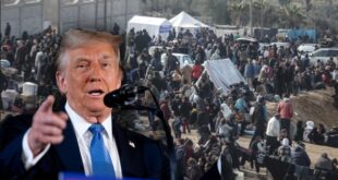 image 2025 05 17 12 54 03