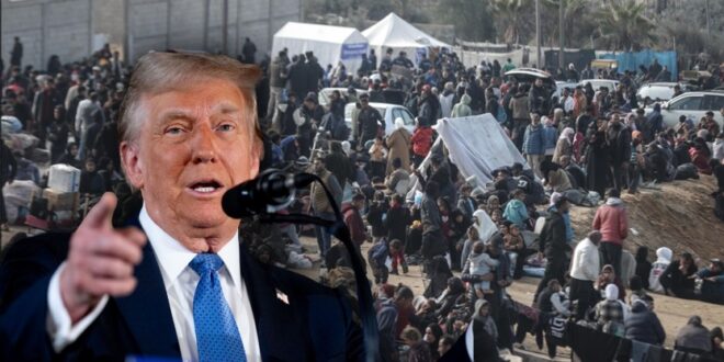 image 2025 05 17 12 54 03