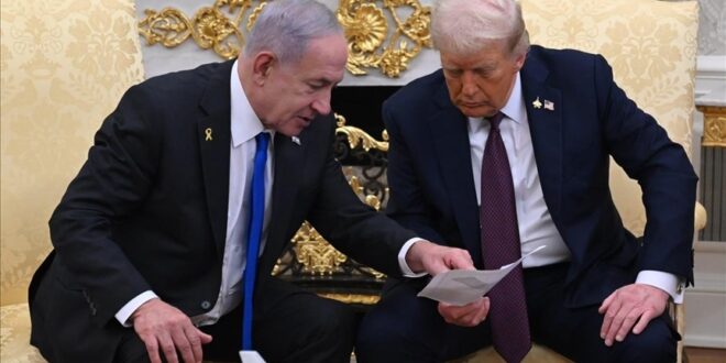 image 2025 11 12 18 19 47