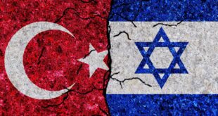 shutterstock 2081768407