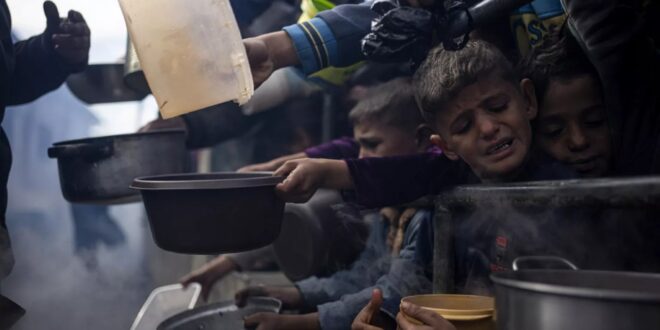 image 2025 05 11 13 04 23