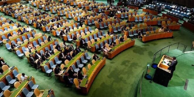 5962818898401281806 120