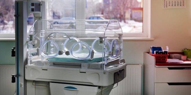 image 2025 05 10 14 28 13