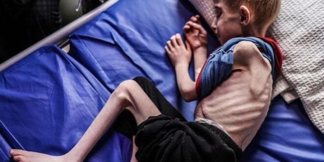 IMG 20250722 192259 940