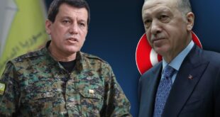 image 2025 05 31 16 39 47